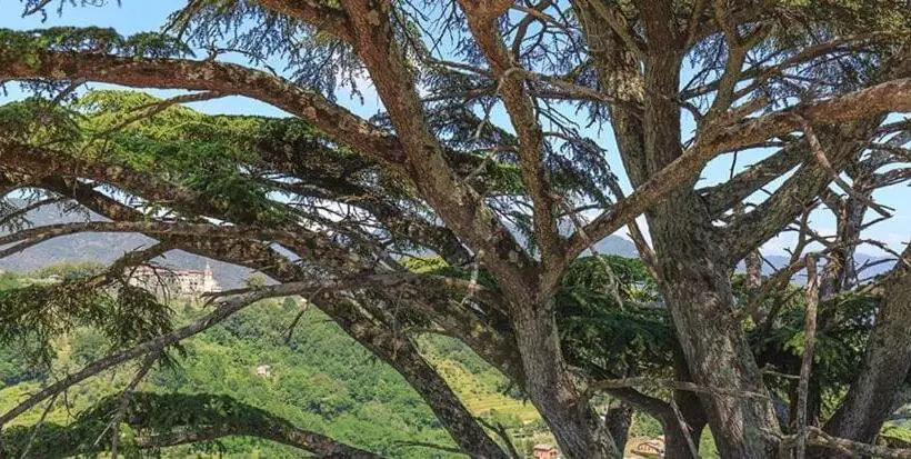 Hotelli Palazzo Costa