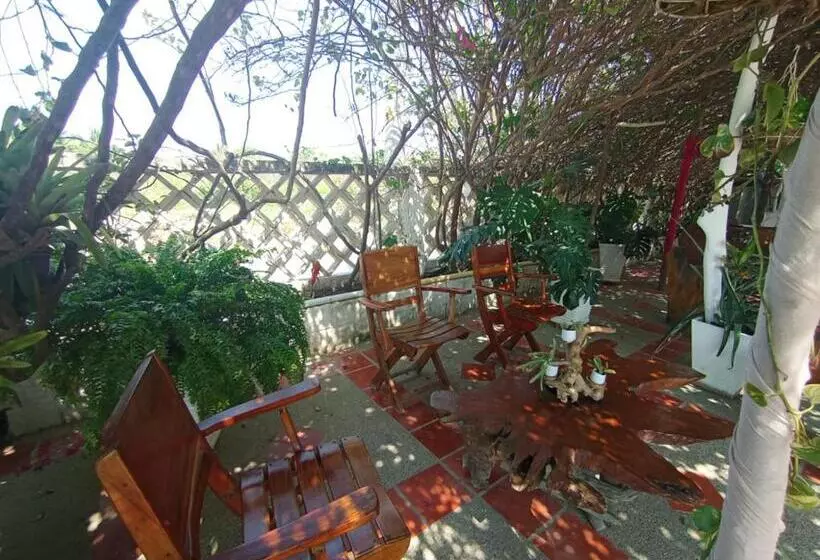 ホテル Santa Veronica Inn