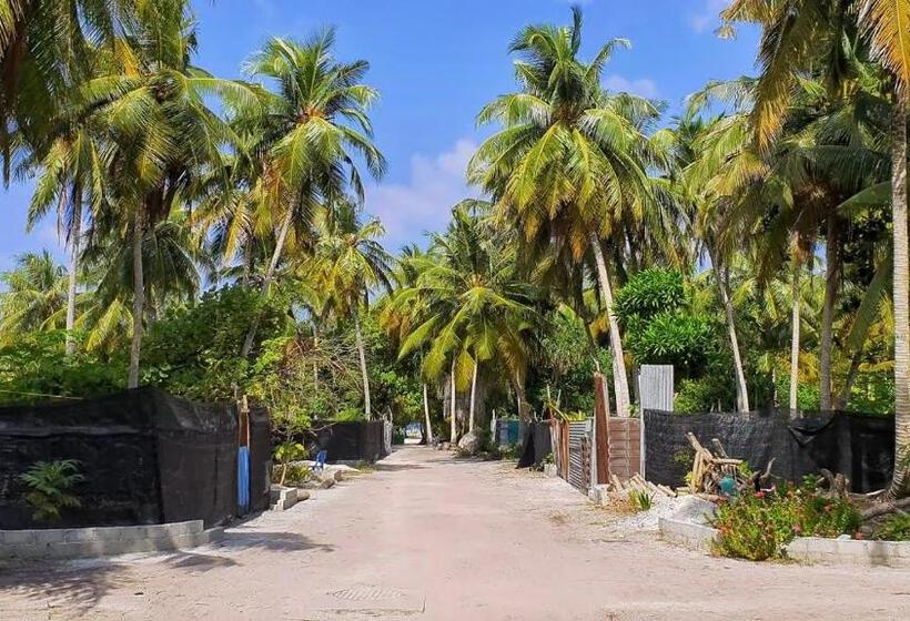 پانسیون Morus Bliss   Divers  Preferred