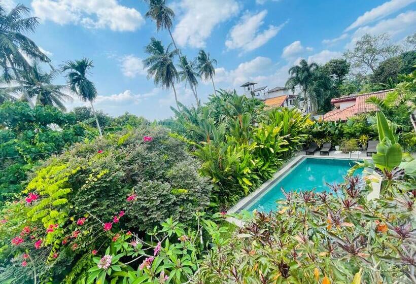 بنسيون Roshe Sky Guest House Colombo