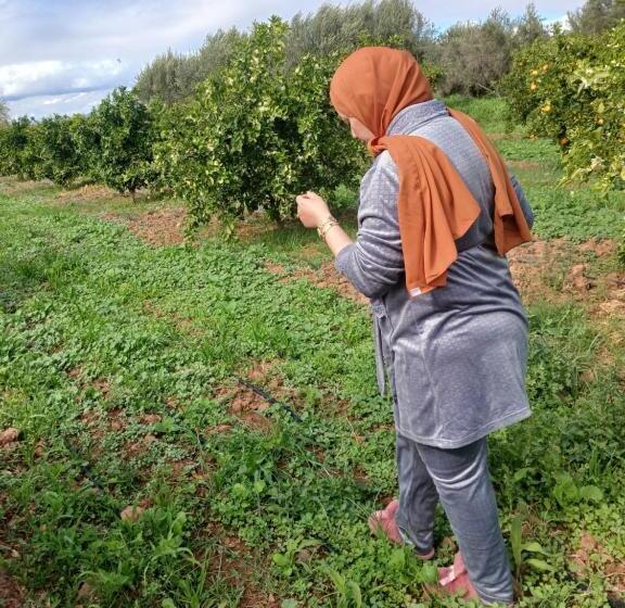 رياض Dar Limoune