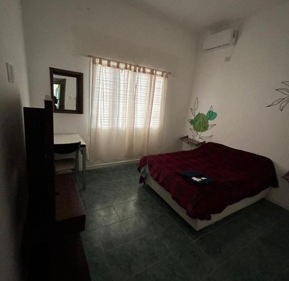 Nuevo Hotel Mitre 83