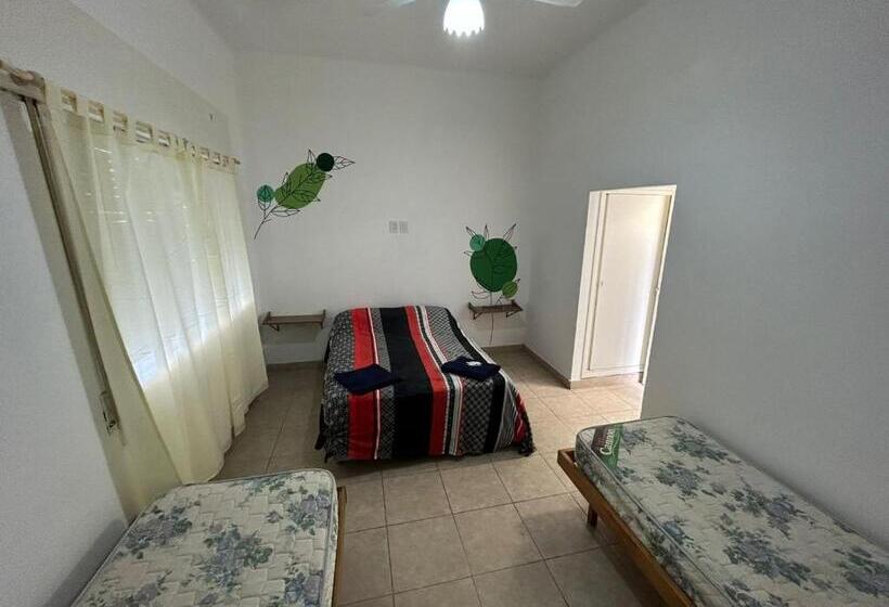 Nuevo Hotel Mitre 83