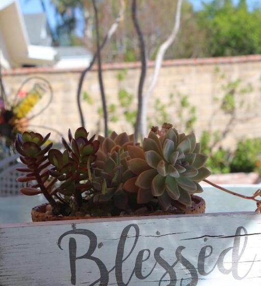 Z S Bed And Breakfast