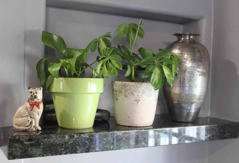 Z S Bed And Breakfast