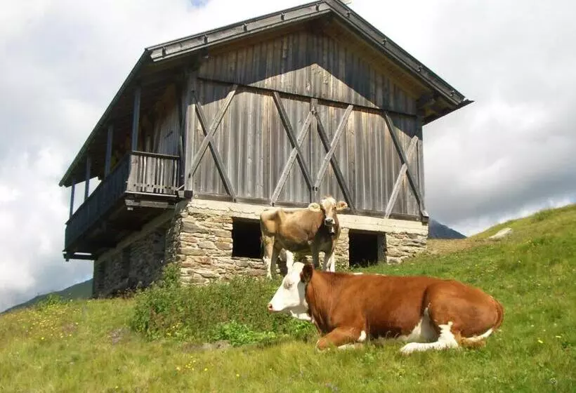 Alpenhotel Schönwald Superior