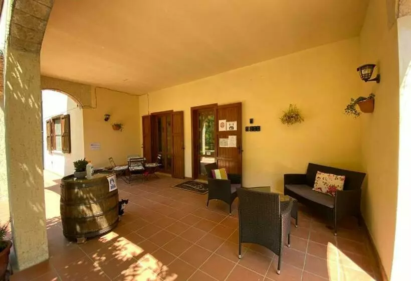 B&b 8380