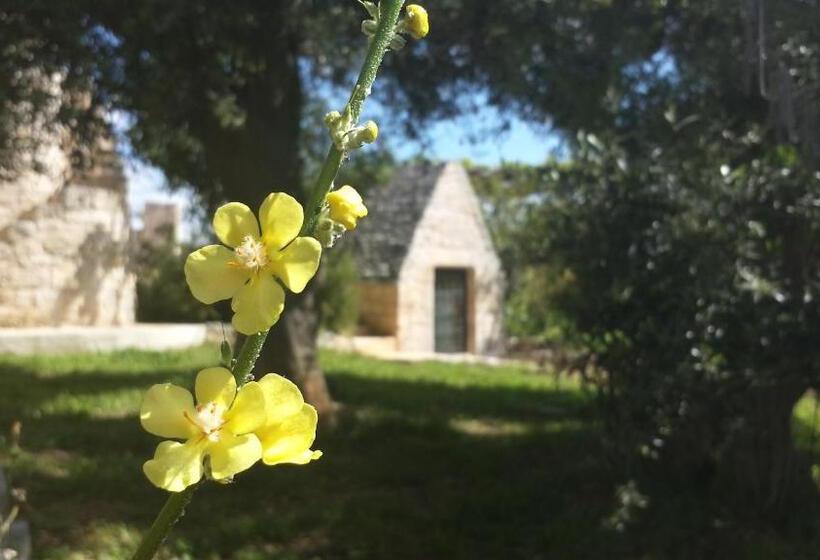 Aamiaismajoitus (B&B) Casa Vacanze Riposo Del Vento