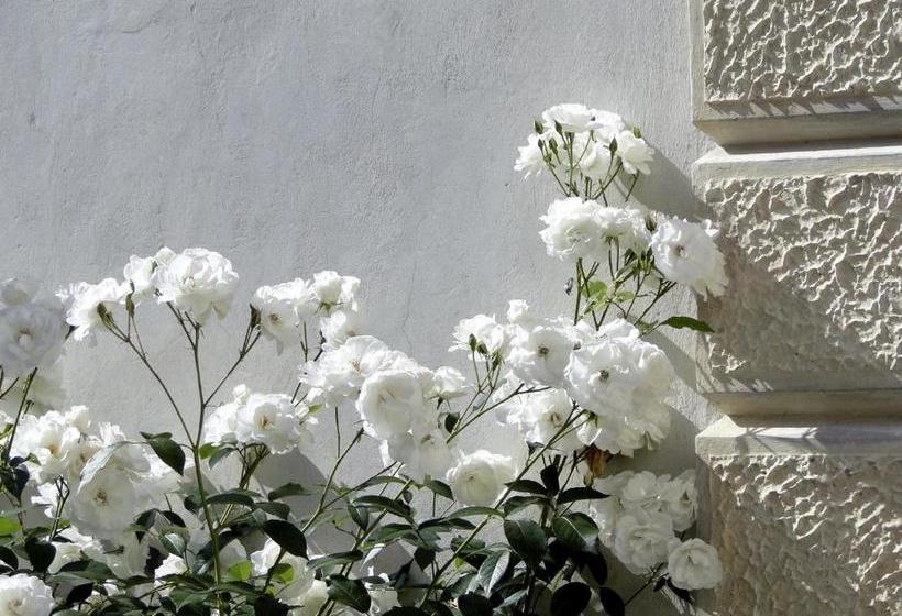 مبيت وإفطار Villa Barberina