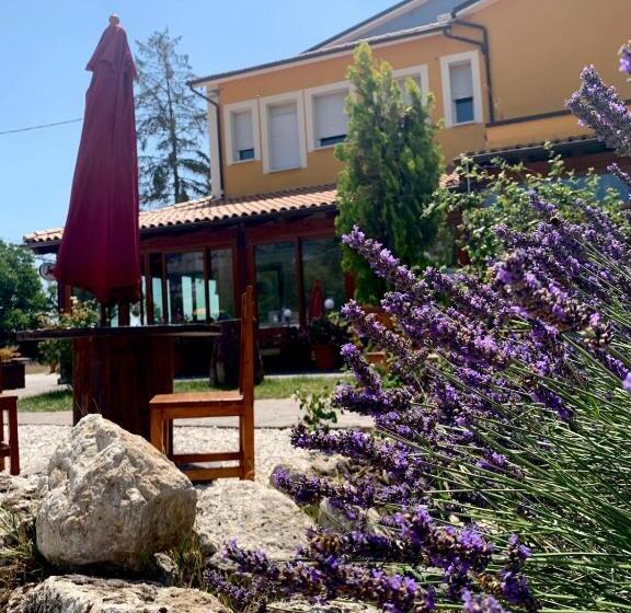 호텔 Albergo Ristorante Monte Selva