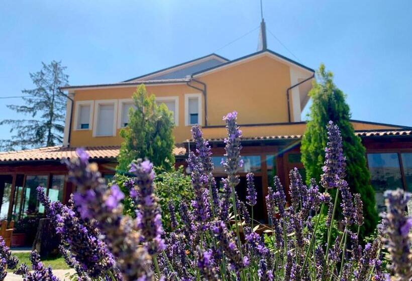 호텔 Albergo Ristorante Monte Selva