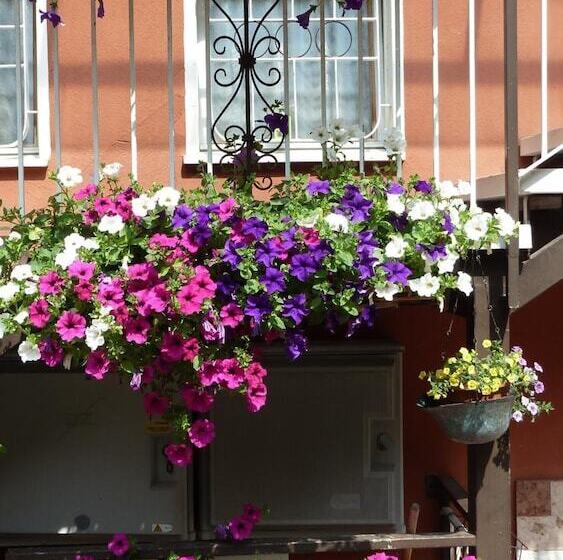 בית מלון כפרי Baitone   Nature Village