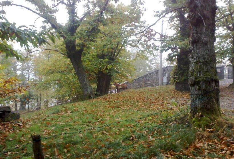 בית מלון כפרי Bruna