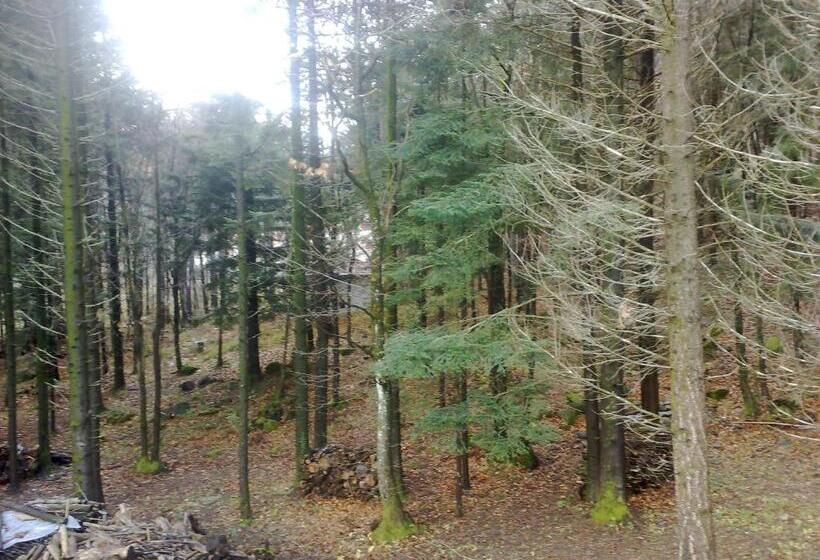 בית מלון כפרי Bruna