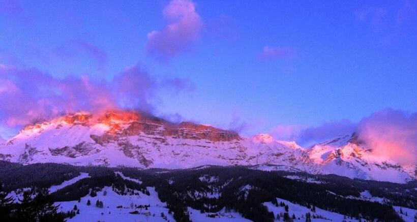 Отель Cavallino