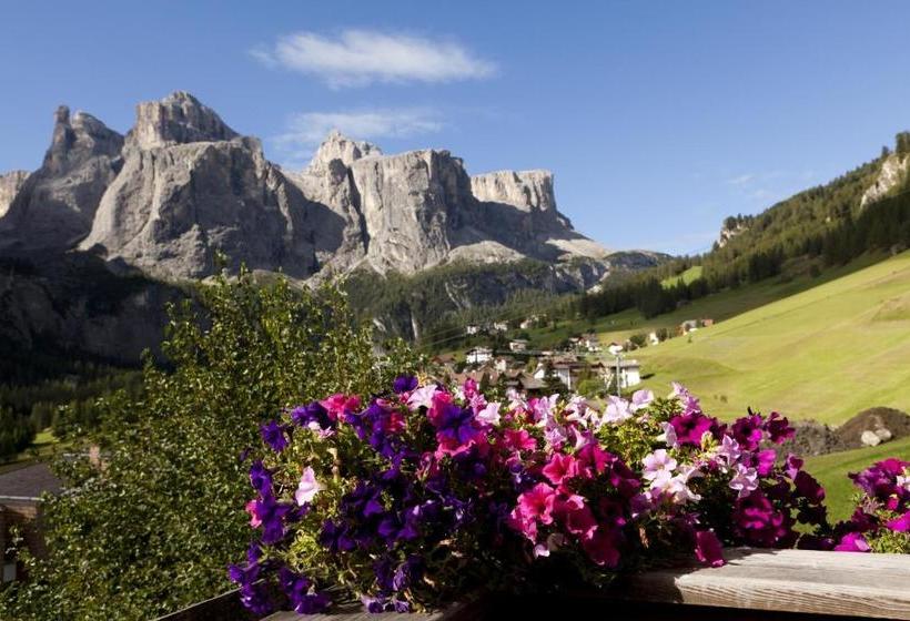 هتل Pensione Erica