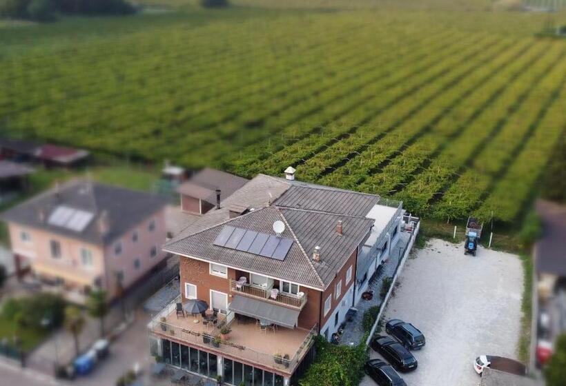 בית מלון כפרי Rolly