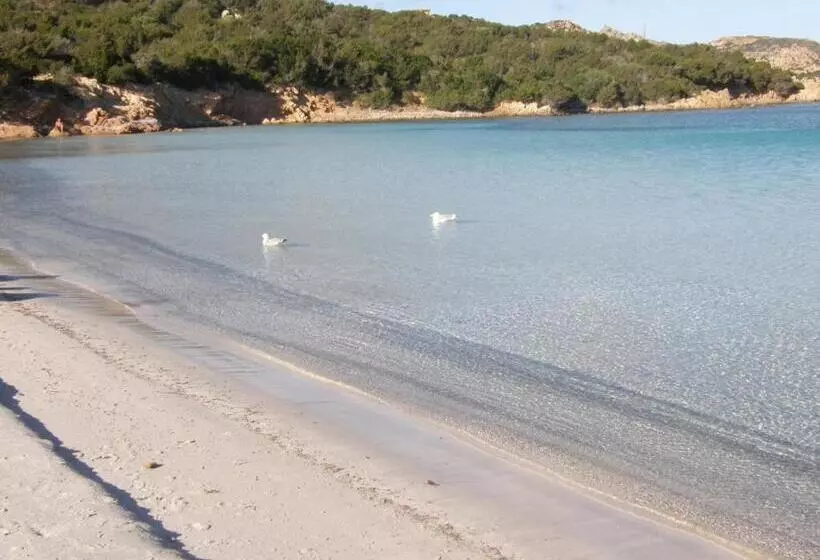 Residenssi Isola Rossa Appartamenti Paduledda