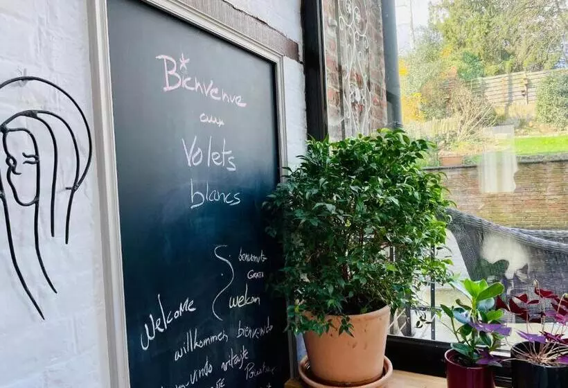 ベッドアンドブレックファースト Les Volets Blancs