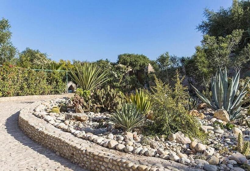 민박 Riad Des 1001 Fleurs