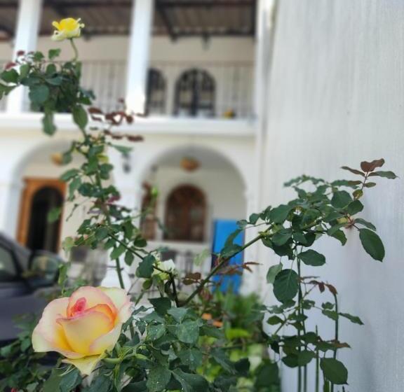پانسیون Blue Moon Hostel