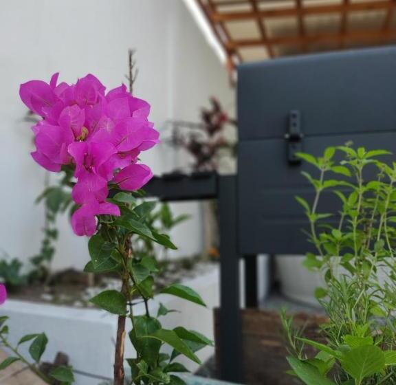 پانسیون Blue Moon Hostel