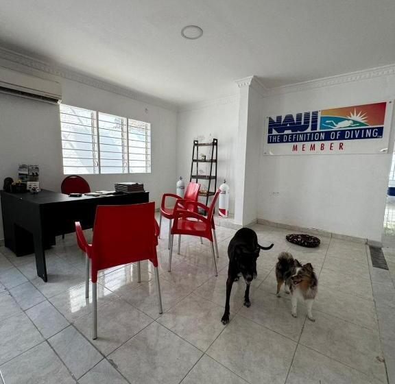 پانسیون Calipso Dive And Pet Center