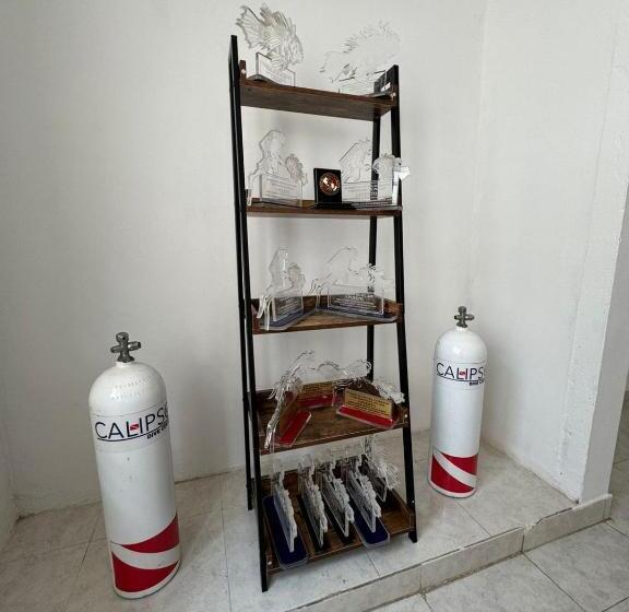 پانسیون Calipso Dive And Pet Center