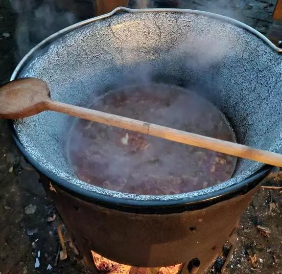 تختخواب و صبحانه Credo Panzió