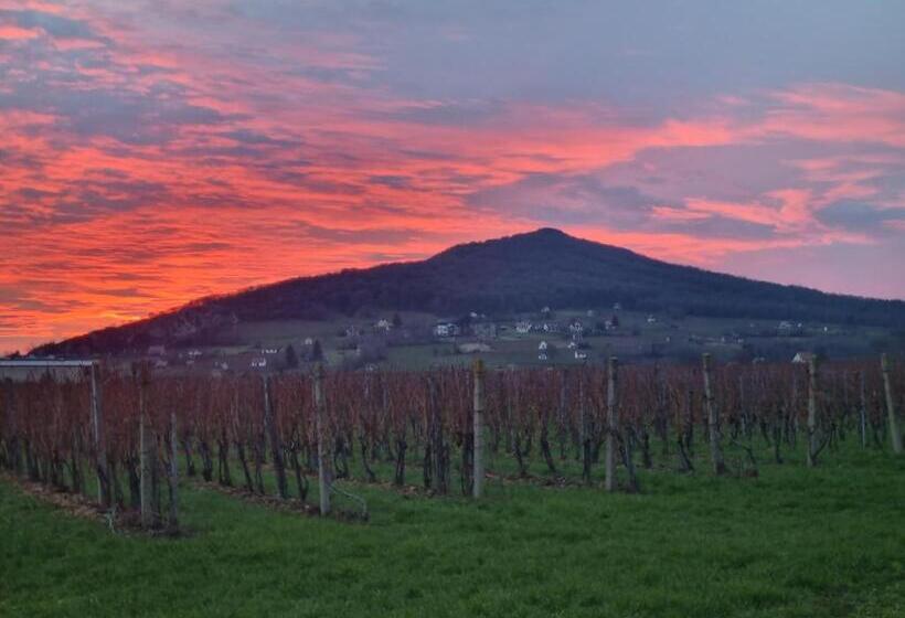 ベッドアンドブレックファースト Credo Panzió