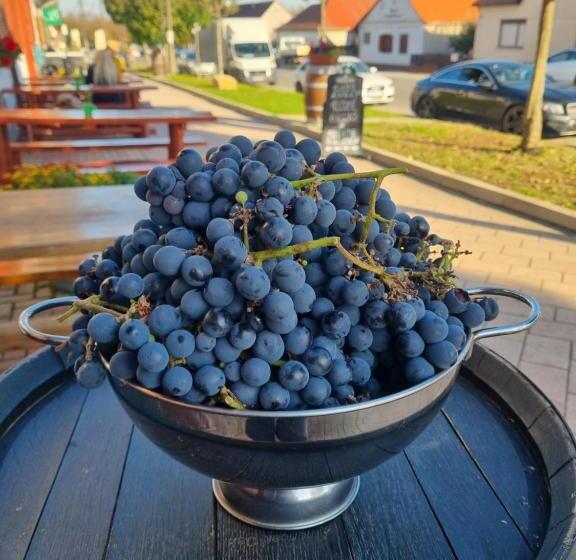 ベッドアンドブレックファースト Credo Panzió