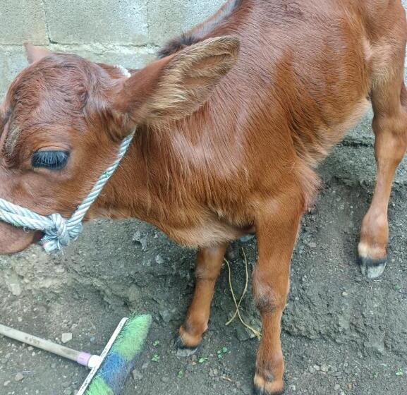 ホテル Finca La Gabriela