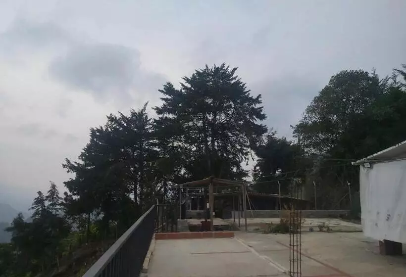 ホテル Finca La Gabriela