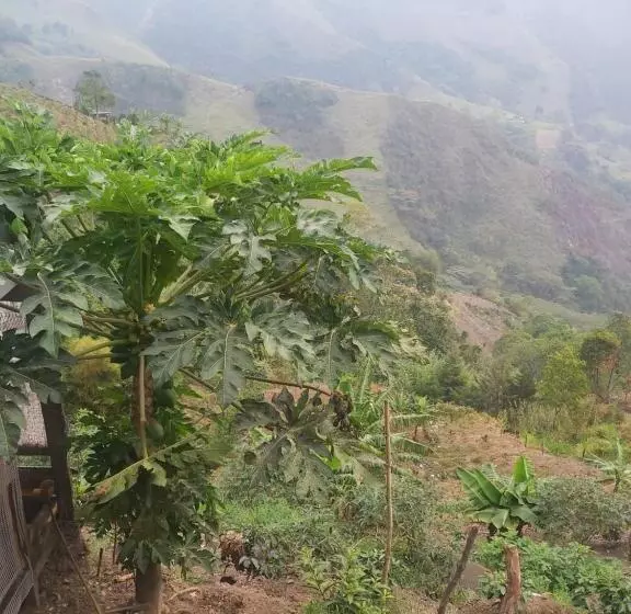 ホテル Finca La Gabriela