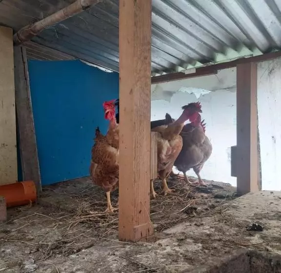 ホテル Finca La Gabriela
