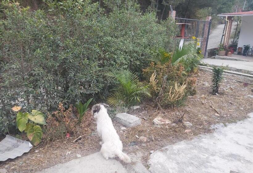 ホテル Finca La Gabriela