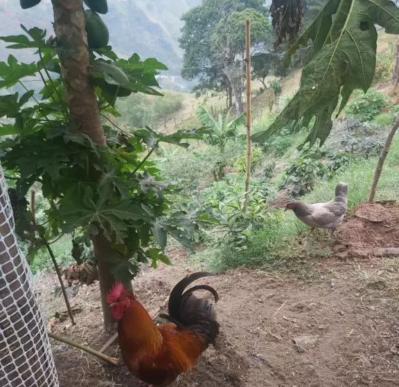 ホテル Finca La Gabriela