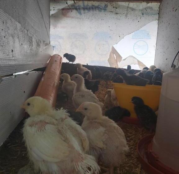 ホテル Finca La Gabriela