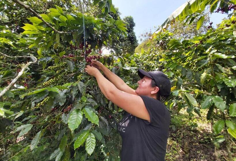 ホテル Finca La Gabriela