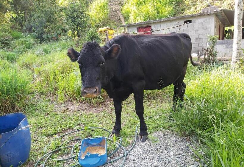 ホテル Finca La Gabriela