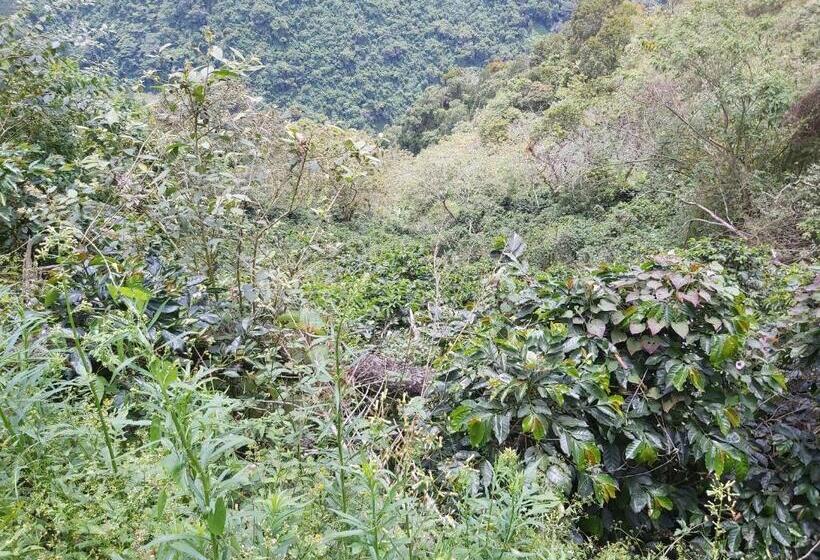 ホテル Finca La Gabriela