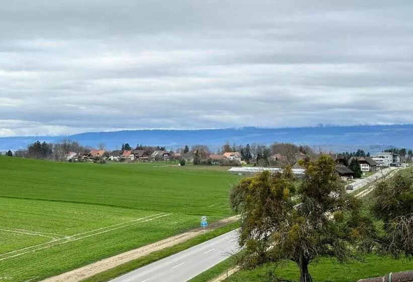 ホテル Gasthof Sternen Detligen