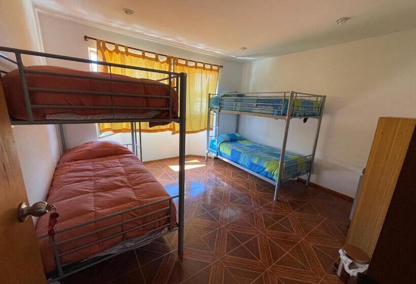 پانسیون Green Dream