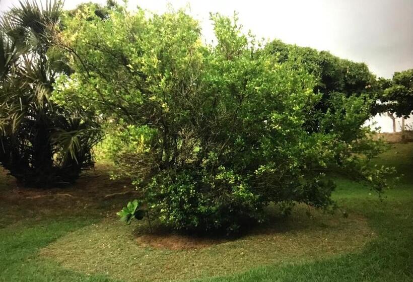 پانسیون La Villa Chez Ingrid