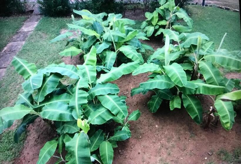 پانسیون La Villa Chez Ingrid