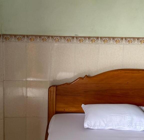 پانسیون Palm Tree Quest House