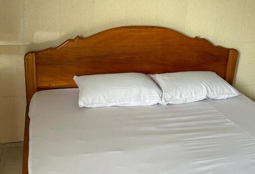 پانسیون Palm Tree Quest House