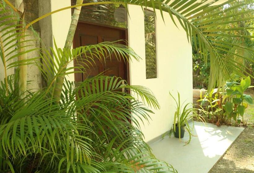 Pensiune The Drop In Madiha I A/c Suite