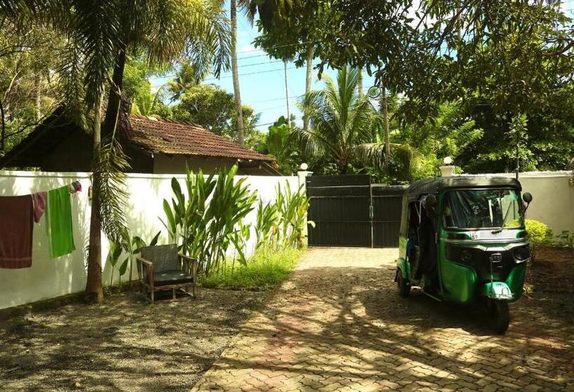 Pensiune The Drop In Madiha I A/c Suite