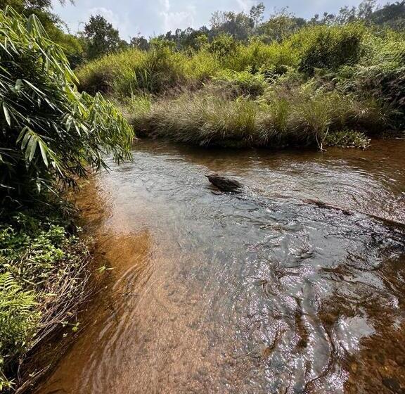 צימר Prakruti Home Stay